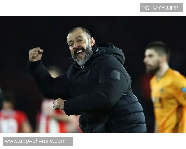 若昂内维斯的足球之路：从青训新星到国际赛场的闪耀之星