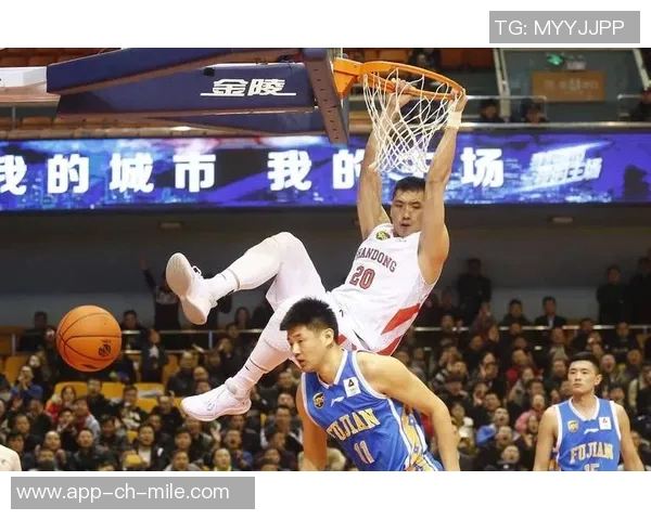 陶汉林:从篮球场上的拼搏者到社会责任的践行者的成长之路 陶汉林:从篮球场上的拼搏者到社会责任的践行者的成长之路